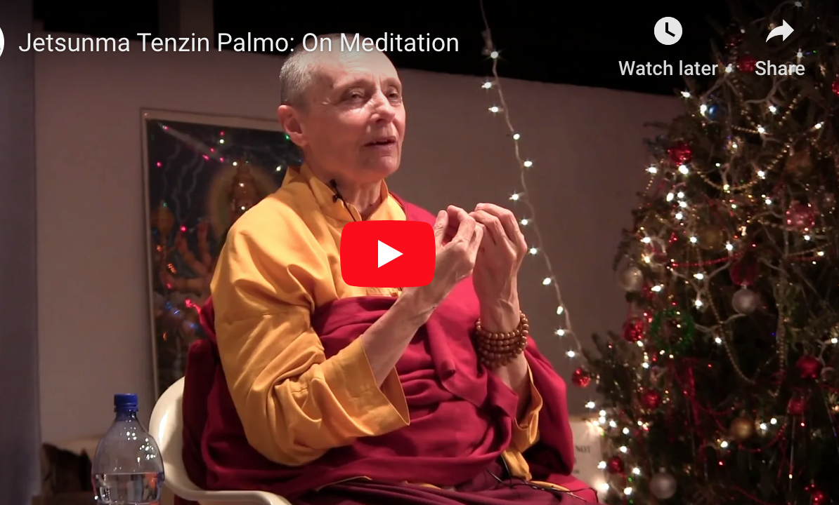 Meditation 101 by Jetsunma Tenzin Palmo